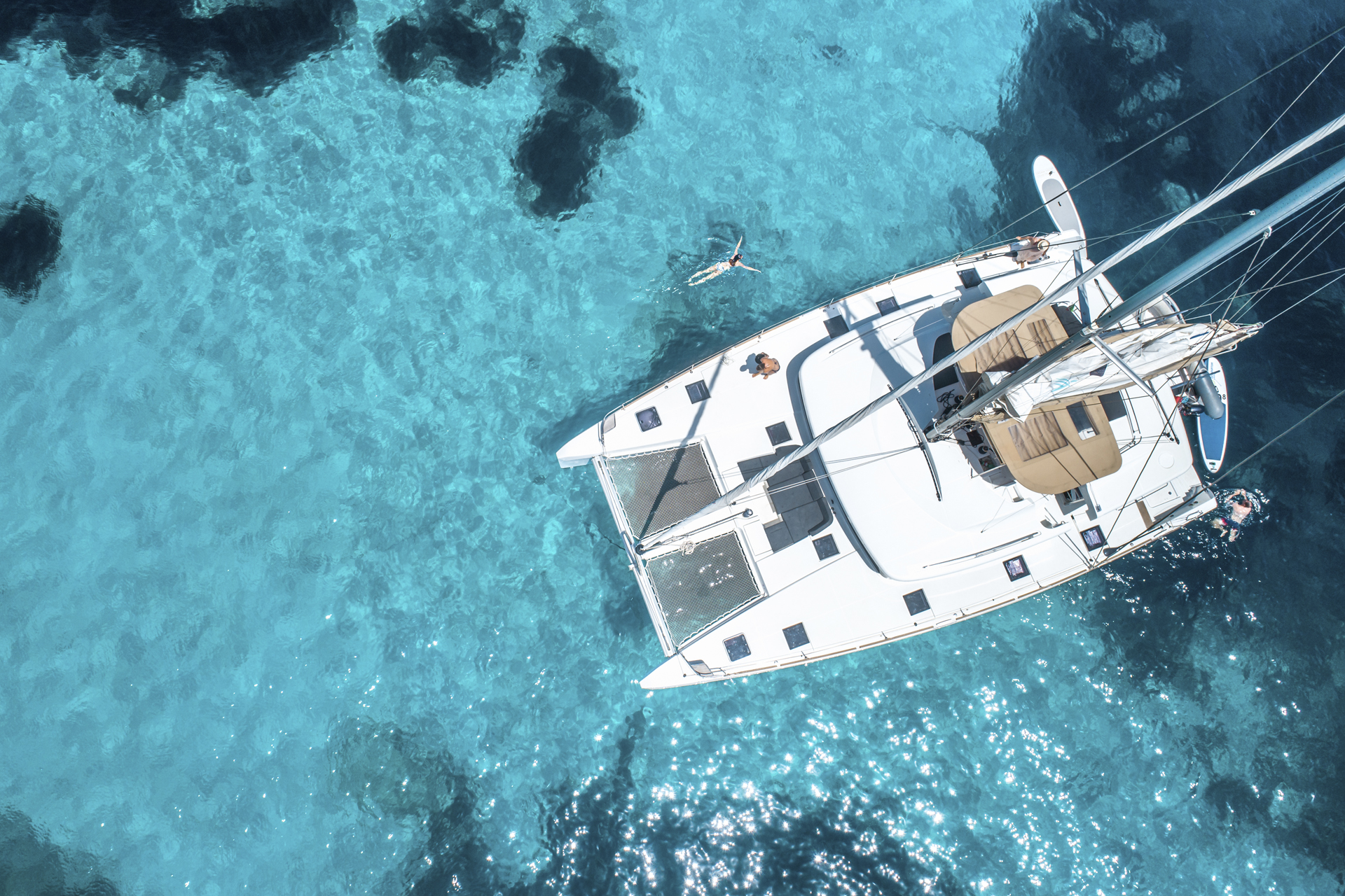 Listing Taxonomy Image